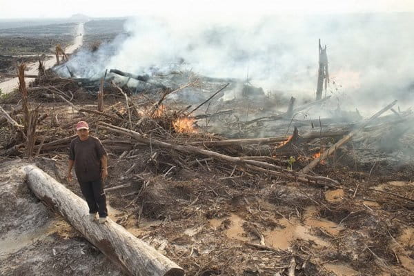 Membakar-cara untuk membuka-Lahan-Perkebunan-Sawit