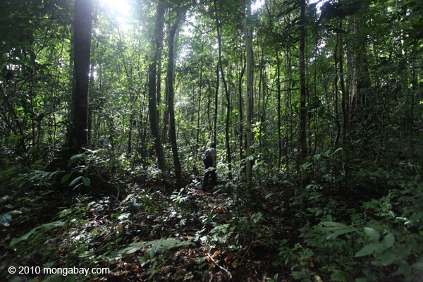 west-papua_0934