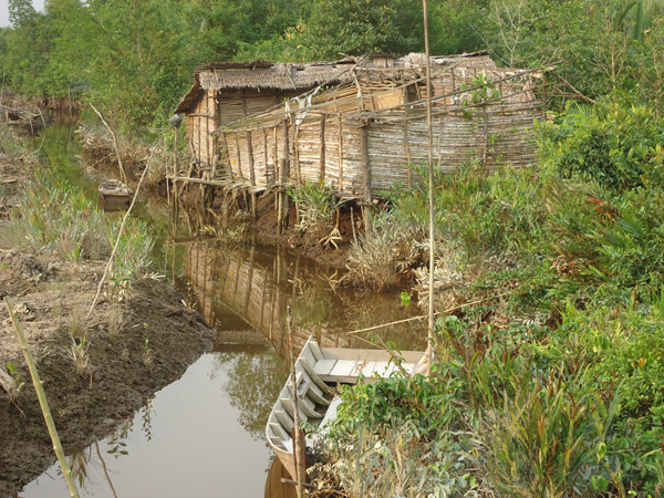 Rumah masyarakat adat Suku Akit di Pangkalan Nyirih, Rupat Selatan. Foto: Made Ali