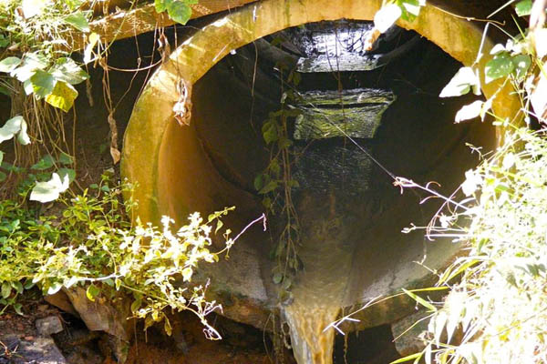 Pembuangan limbah dari pabrik sawit PT. Mustika Sembuluh yang mengalir ke Sungai Sampit dan Pondok Damar. Kini, sungai Sampit pun tak bisa digunakan keperluan sehari-hari layaknya dahulu. Foto: Walhi Kalteng