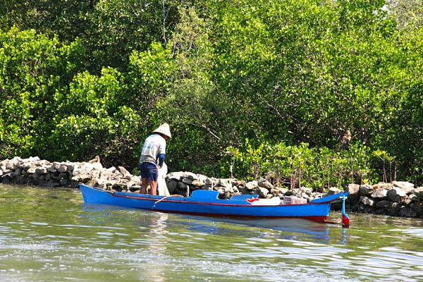 Salah satu masalah lingkungan di Sulawesi Selatan adalah alih fungsi hutan mangrove menjadi tambak. Ironisnya, ketika tambak tidak lagi produktif dibiarkan terbengkalai. Foto: Wahyu Chandra 