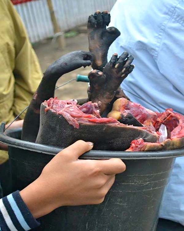 Daging yaki siap dimasak untuk konsusmi. Foto : Facebook PPST