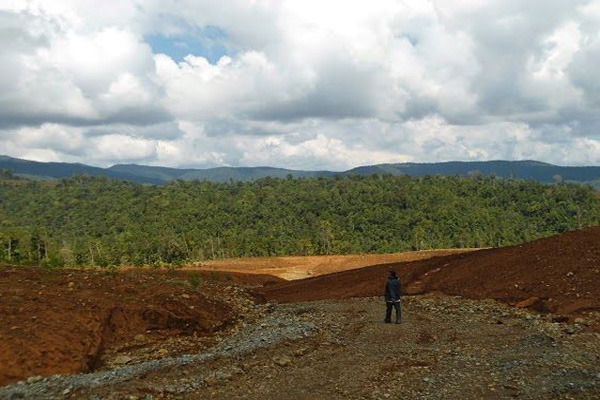 Hutan di Morowali yang gundul buat tambang nikel. Pengerukan terhenti sejak larangan ekspor mineral mentah. Ada sebagian perusahaan sedang menyiapkan pabrik smelter. Dengan keloggaran ekspor bahan mentah ini tak mustahil, bongkar-bongkar hutan dan lahan buat tambang tanpa memperhatikan lingkungan bakal massif lagi. Foto: Christopel Paino