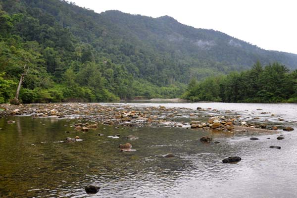 Sumber air terjaga baik. Sungai di komunias adat Taa-Wana, Sulteng, jernih dan menjadi sumber air bagi warga sekitar. Baik buat keperluan sehari-hari maupun irigasi pertanian bagi warga sekitar, terutama yang berada di hilir. Foto: perkumpulan HuMA 