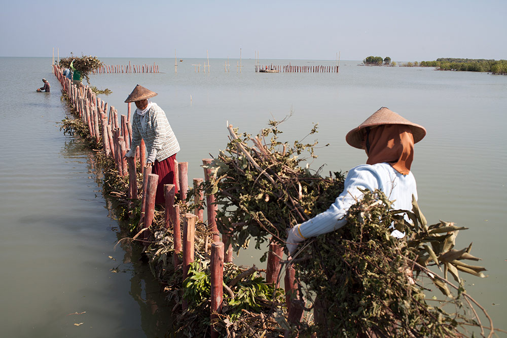 Perempuan di Desa Timbul Seloko, Demak, Jateng membantu proyek bendungan permeable Foto : Een Irawan/Rekam Nusantara 