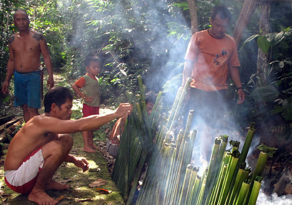 Masyarakat adat Sungai Utik bergotong royong membakar pulut (ketan) di dalam bambu untuk persiapan ritual adat. Foto: Andi Fachrizal