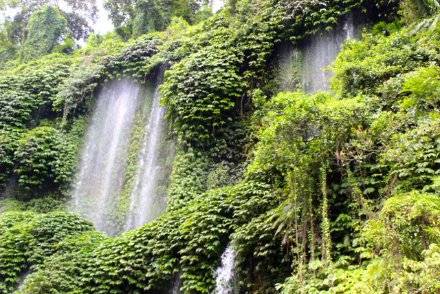 Hutan Kemasyarakatan Aik Berik, Lombok. Di hutan kelola masyarakat ini terdapat sumber air terjun yang menjadi tumpuan pasokan air Lombok. Dulu, sebelum penetapan HKm ini, hutan malah rusak, perambahan ilegal marah. Kini, setelah warga diberi hak kelola, mereka makin menjaga kawasan yang memang menjadi gantungan hidup mereka. Foto: Sapariah Saturi