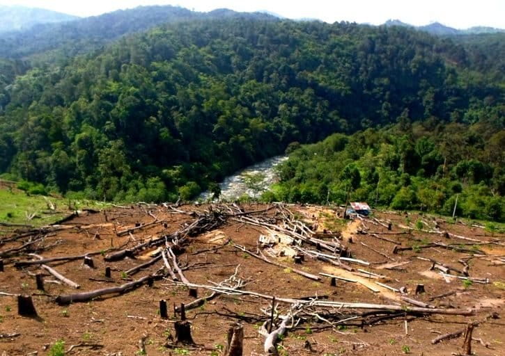 Daerah aliran sungai yang gundul untuk jadi kebun. Foto Taufik Wijaya