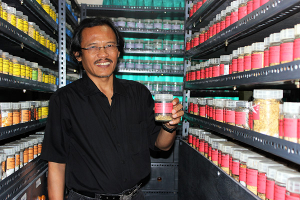 Dwi Andreas Santosa, Guru Besar Fakultas Pertanian Institut Pertanian Bogor (IPB), menunjukkan koleksi bank benih padi di Kantor Asosiasi Bank Benih Tani Indonesia (AB2TI) di Bogor. Dari 10 ribu varietas padi, saat ini hanya tersisa 125 varietas. Foto: Rahmadi Rahmad