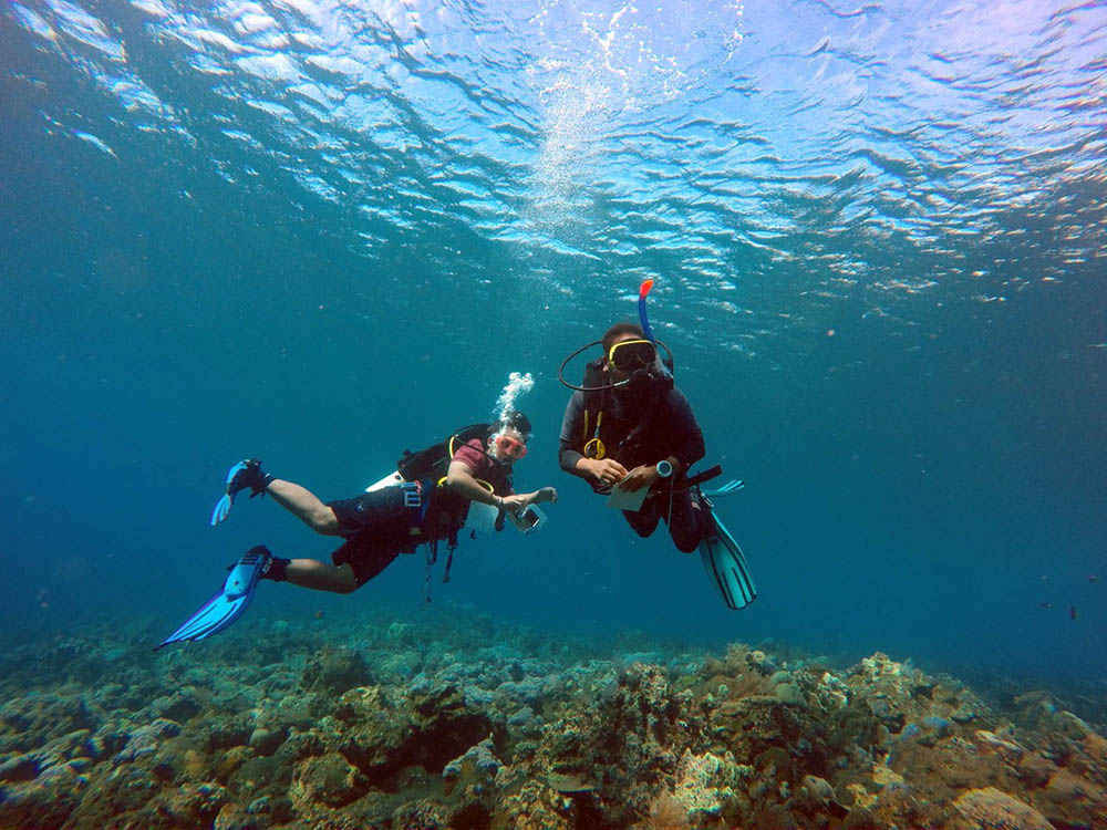 Aktivitas penyelaman sebagai salah satu wisata utama di Desa Tulamben, Kubu, Karangasem, Bali. Foto : Reef Check Indonesia