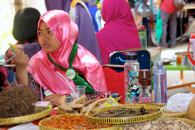 Tumbuhan kacang-kacangan, dan bumbu-bumbu negeri ini sebenarnya begitu kaya. Namun, kini yang banyak beredar atau menjadi andalan malah banyak produk impor. Lokal tenggelam karena kurang tergali. Lewat Festival Desa ini, sekaligus jadi ajang unjuk: inilah kekayaan alam negeri. Foto: Sapariah Saturi