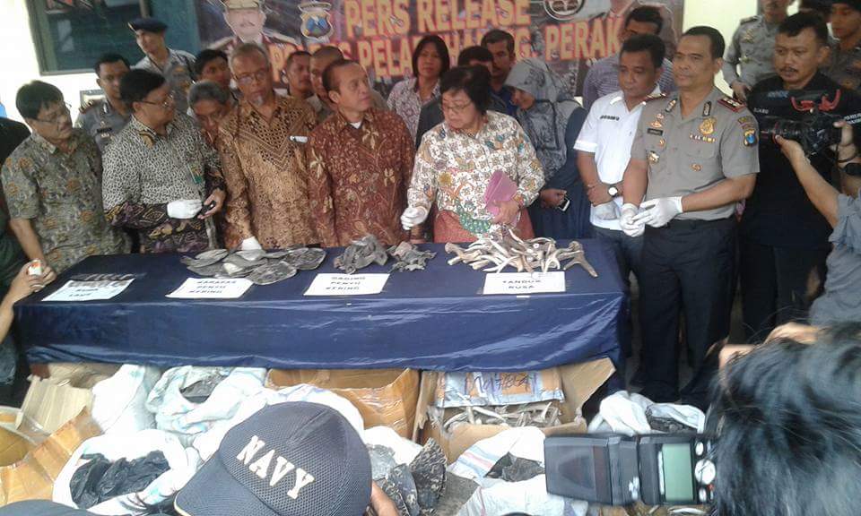 Mabes Polri bersama Kementerian LHK saat memberi keterangan pers tekait pengungkapan kasus perdagangan satwa liar ilegal di Surabaya., Kamis (22/10/15). Foto: WCU-WCS