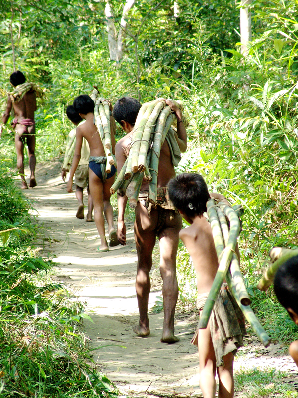 Sumber kehidupan Orang Rimba. Foto: Laender/ Dok KKI Warsi