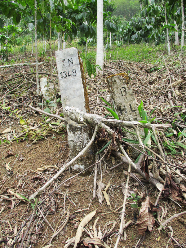 Patok TNKS yang berada di kebun milik Masyarakat Hukum Adat Rejang. Foto: Dedek Hendry
