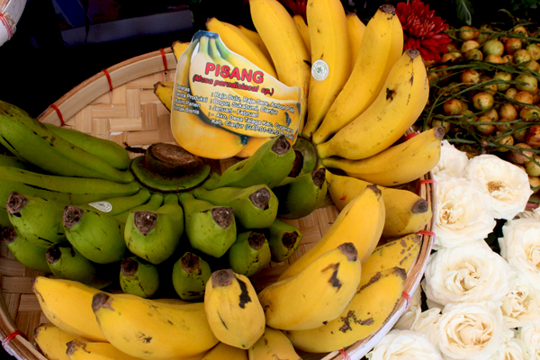 Pisang yang begitu melimpah di Indonesia. Foto atas dan bawah: Rahmadi Rahmad