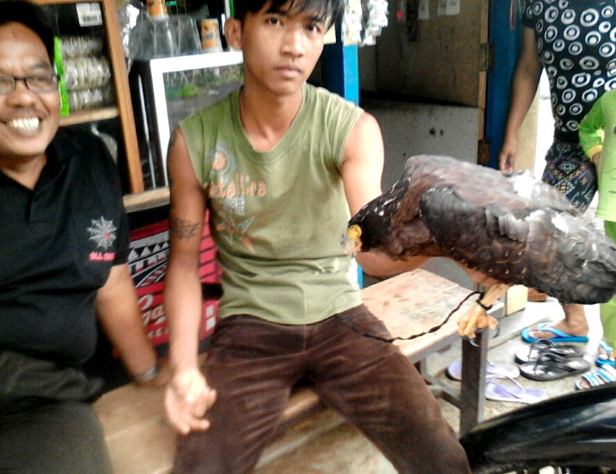 Penjual dan pembeli satwa dilindungi kepergok warga saat akan bertansaksi di Desa Melung, Kecamatan Kedungbanteng, Kabupaten Banyumas pada Minggu (22/11/2015). Foto : Narwin/Biodiversity Society