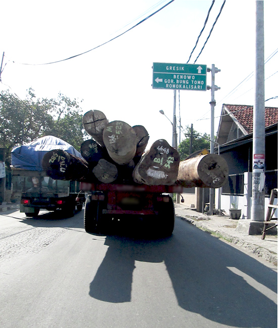 Jawa Timur dikhawatirkan akan menjadi wilayah peredaran kayu ilegal di tanah air. mengingat kayu dari Papua dan Kalimantan yang dikirim tidak langsung didistribusikan ke industri pengolahan melainkan ke tempat penggergajian. Foto: JPIK Jawa Timur