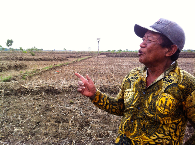 Sadiman-Sadiman, salah satu petani di Tlogoweru yang merasakan manfaat kala serak Jawa jadi predator alami tikus. Foto: Nuswantoro
