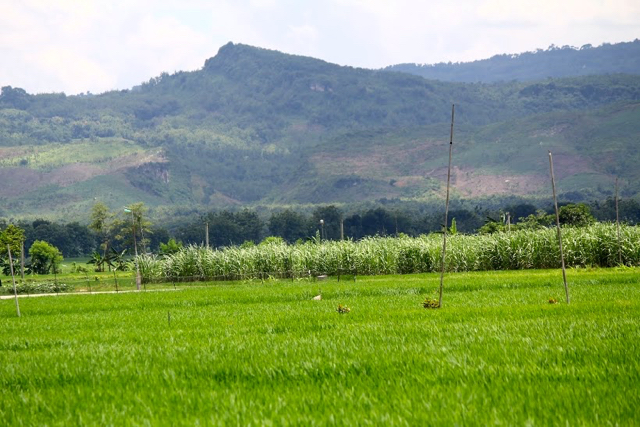 Pegunungan karst Kendeng sebagai sumber air bagi pengairan irigasi sawah warga di Kayen, Tambakromo dan Sukolilo, Pati. Foto: Tommy Apriando
