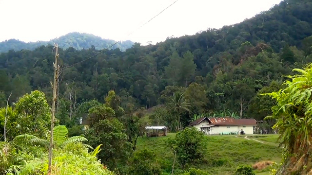 Inilah Desa Aek Godang, di kelilingi hutan adat hijau dan damai. Kicau burung dan kokok ayam terdengar riuh ketika pagi datang. Foto: Ayat S Karokaro