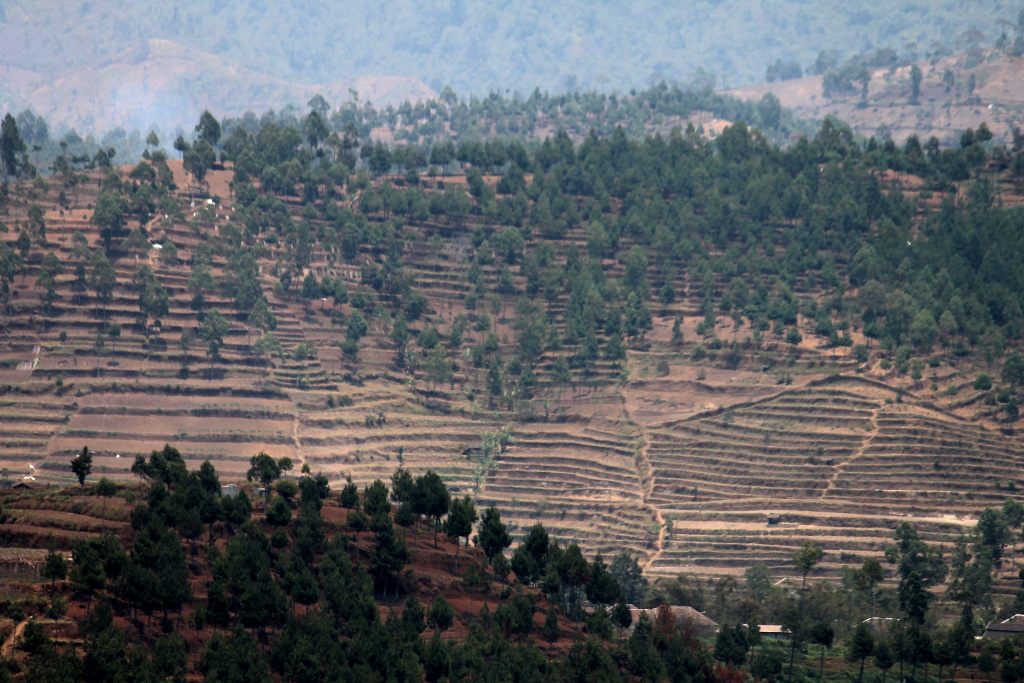 Kondisi bukit di pegunungan Biru, Malang, Jawa Timur, yang gundul karena alih fungsi hutan dan peruntukan lain. Foto: Petrus Riski
