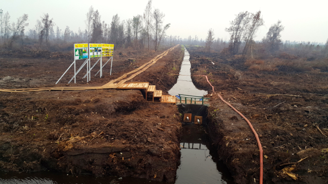 Pembuatan kanal-kanal bersekat yang baru usai di Tumbang Nusa. Aksi ini mendapat tentangan dari banyak pihak, karena dinilai tak beda dengan kanalisasi. Foto: Jenito