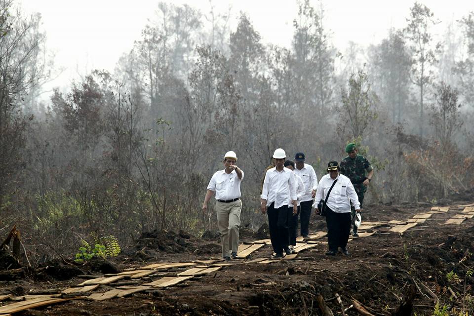 Presiden Joko Widodo, kala memantau perkembangan kebakaran hutan dan lahan di Pulang Pisau, Kalteng. Foto: Facebook Luhut Pandjaitan, Menkopolhukam