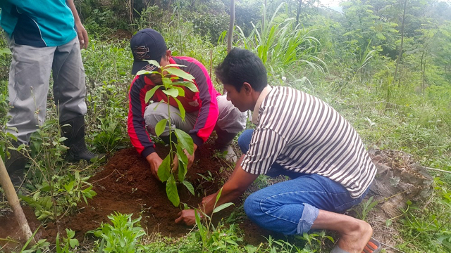 Penanam kembali Lereng Gunung Dieng untuk menghutankan kembali dan mencegah longsor. Foto: Tommy Apriando