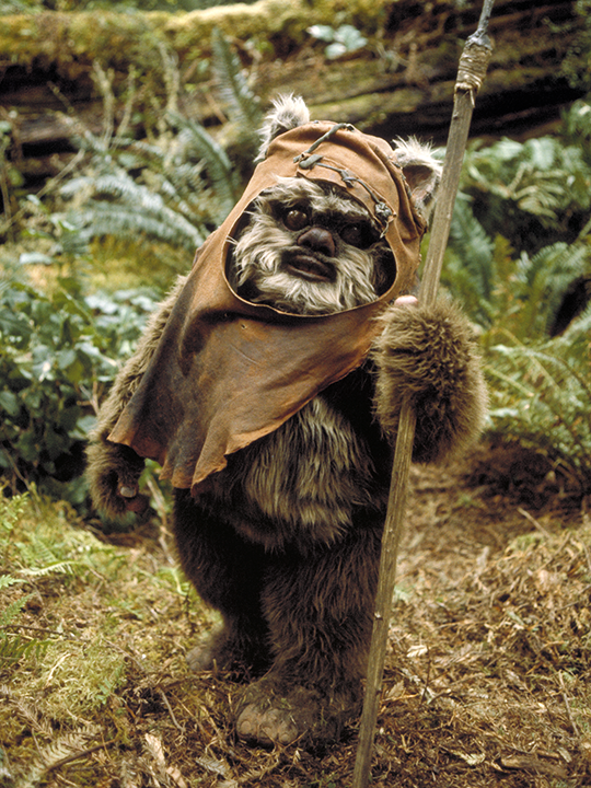 Ewok. Sumber: vignette4.wikia.nocookie.net