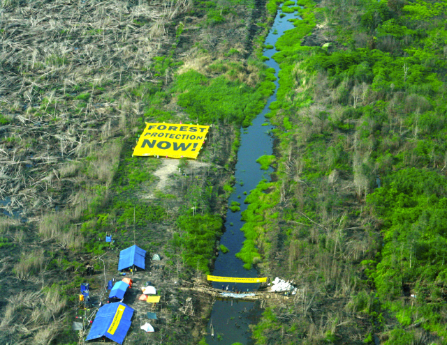 Kanal yang membelah gambut hingga mengeringkan lahan penyimpan air itu. Akibatnya, lahan sekitar terbakar kala kemarau. Foto: Aseanty Pahlevi