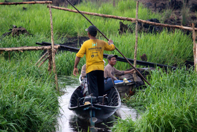 Kanal sekunder yang dibangun 1996, kala proyek eks PLG satu juta hektar. Tak kurang 4.500 km kanal membelah lahan gambut di area proyek sejuta hektar yang menjadi 'penguras' air gambut hingga memicu kebakaran. Foto: Sapariah Saturi