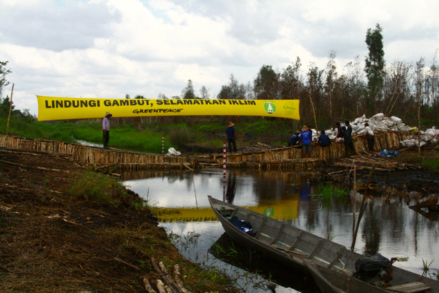 Sekat kanal dimotori Greenpeace Indonesia," Lindungi Gambut, Selamatkan Iklim." Foto: Aseanty Pahlevi