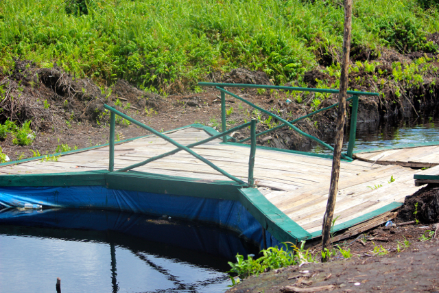 Salah satu sekat kanal di Tumbang Nusa, yang masih utuh. Sekat kanal ada yang sudah jebol padahal baru dibuat beberapa bulan. Foto: Sapariah Saturi