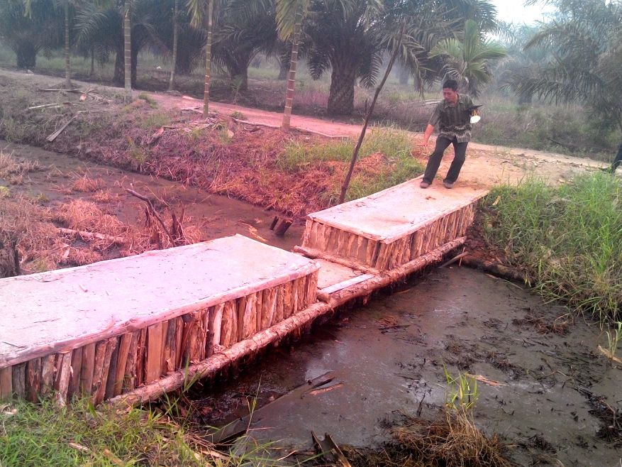 Edi Suwarno menunjukkan kanal blocking buatan masyarakat di Desa Pandan Makmur-1