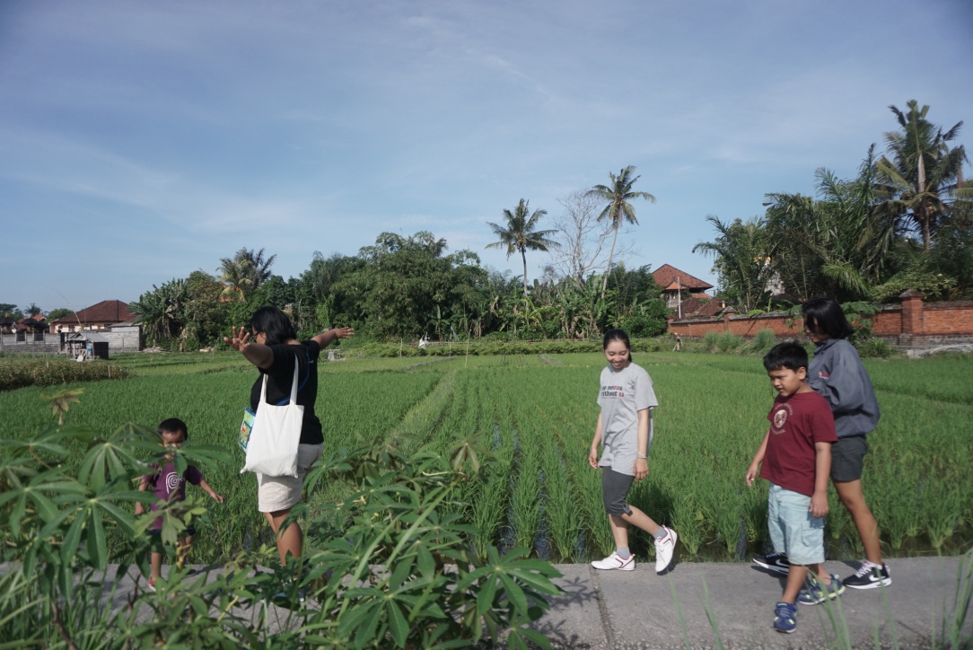 Pengunjung menikmati indahnya suasana sambil berolahraga di ekowisata Subak Sembung di Kelurahan Peguyangan, Kecamatan Denpasar Utara, Denpasar, Bali. Foto : Anton Muhajir