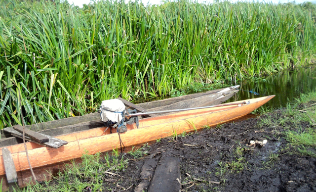 Sarana transportasi warga di Rawa Biru. Foto: Agapitus Batbual