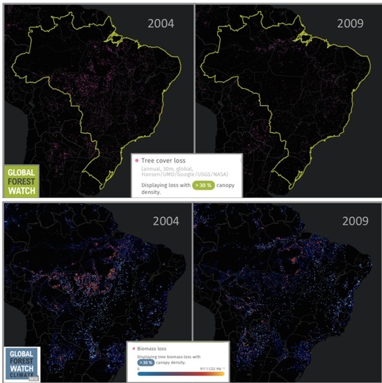 Hilangnya pohon penutup ( atas) dan emisi karbon yang dihasilkan ( bawah ) di Brazil berubah jauh antara 2004 dan 2009 karena peraturan penggunaan lahan ditingkatkan. Foto : Global Forest Watch