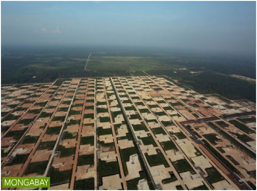 areal ladang minyak Chevron di Duri, Sumatera. Foto : Rhett A. Butler