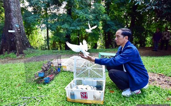 Presiden Jokowi saat melepaskan sejumlah burung di Kebun Raya Bogor, Minggu (03/1/2016). Foto: Dok. Biro Pers, Media, dan Informasi/Setpres