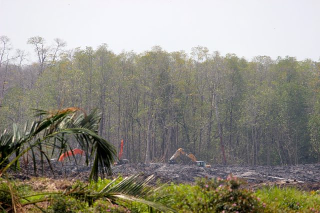 Tampak hutan menjadi sasaran 'jarahan' baru bagi tambang timah. Tampak alat-alat berat tengah menumbangkan pepohonan di Muntok. @Sapariah Saturi