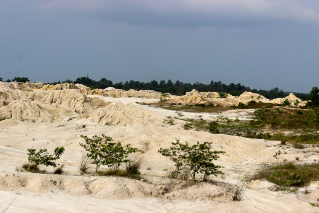 Lahan bekas tambang timah yang ditinggal begitu saja tanpa reklamasi. Lahan gersang. @Sapariah Saturi