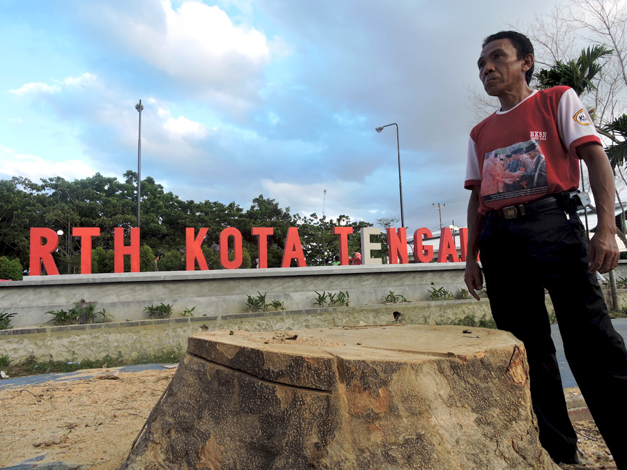 Seorang anggota FKH Kota Gorontalo terlihat marah karena pohon berusia 23 tahun ditebang tepat di depan ruang terbuka hijau. Foto: Christopel Paino