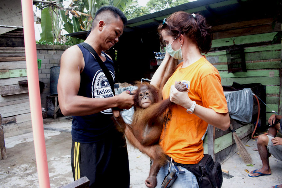 Jamilah saat rantai dilehernya akan dilepas. Foto: YIARI Ketapang