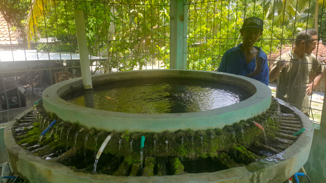 Air dari sumber air Candi untk kebutuhan sekitar 100 keluarga. Foto: Tommy Apriando
