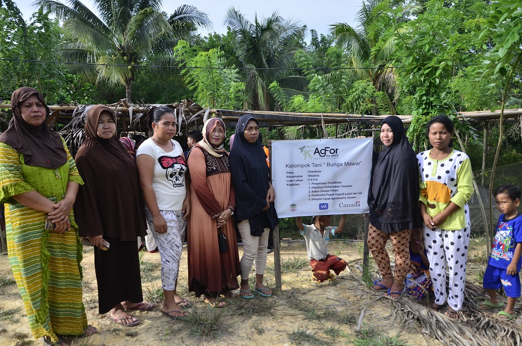 Anggota kelompok petani perempuan Bunga Mawar di Desa Onembute, Kabupaten Konawe, Sulawesi Tenggara, dengan anggota sebanyak 35 orang kini bisa memperoleh penghasilan tambahan melalui usaha pembibitan tanaman. Foto : Wahyu Chandra