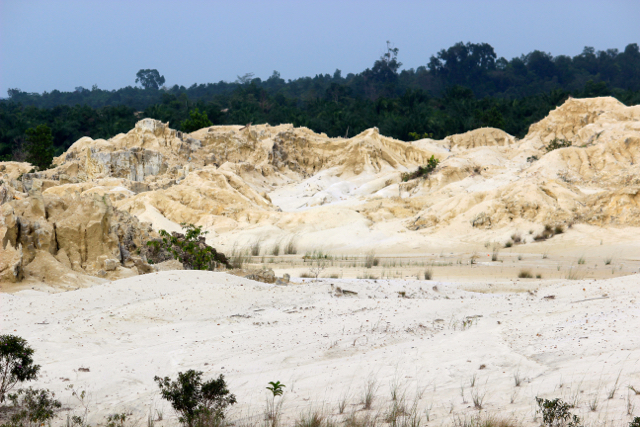 Beginilah penampakan pasca pengurasan timah. Tinggallah limbah, kawasan itu menjadi gersang. Pepohonan seakan enggan tumbuh. Foto: Sapariah Saturi
