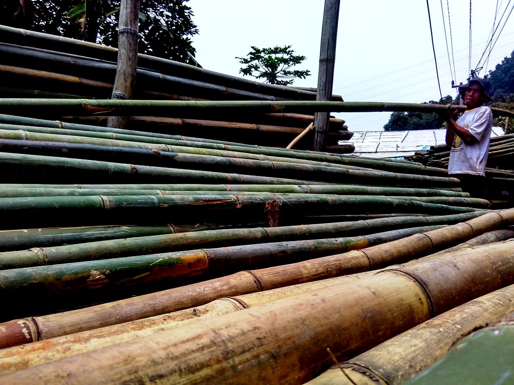 Seorang penjual kayu mengambil bambu jenis temen di Jalan Raya Soreang - Ciwidey, Kampung Patrol, Desa Sukajadi, Kecamatan Soreang, Kabupaten Bandung, Senin (15/02/2016). Lebih dari 10 jenis bambu mulai langka di Kabupaten Bandung, Jawa Barat. Foto : Donny Iqbal