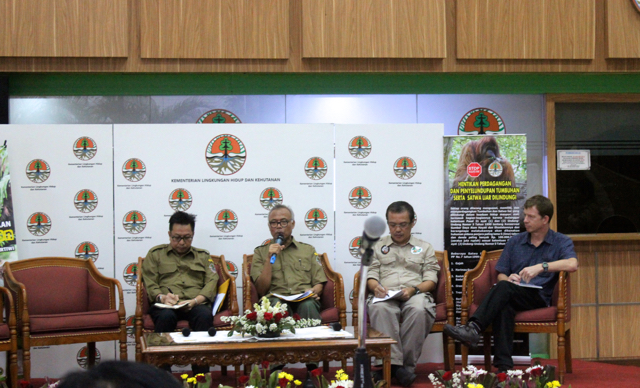 Acara pengembalian tujuh orangutan di Kantor KLHK, dari kiri ke kanan, Rasio Ridho Sani, Direktur Jenderal Penegakan Hukum KLHK, Dirjen Konservasi SDA dan Ekosistem, Tachrir Fathoni, Jamartin Sihite (CeO Yayasan BOS) dan Ian Singleton (Direktur SOCP). Foto: Sapariah Saturi