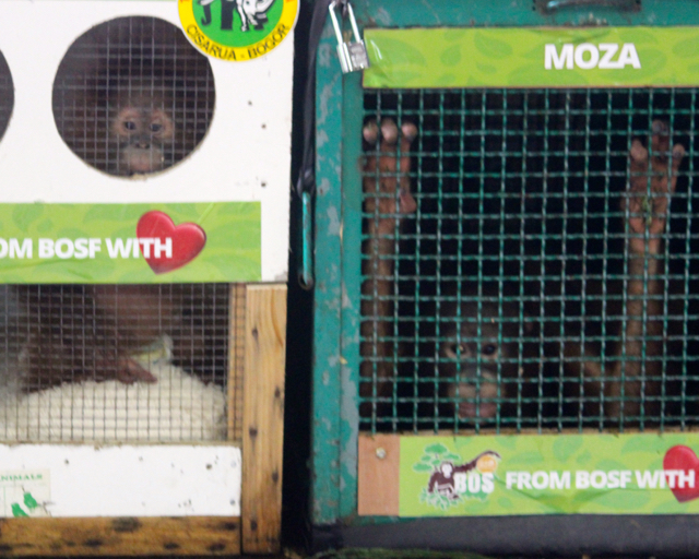 Puspa, dan Moza sesaat sebelum pulang kampung. Foto: Sapariah Saturi