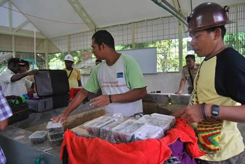 Petugas gabungan berhasil menggagalkan penyelundupan kura-kura moncong babi (Carettochelys insculpta) berjumlah 3.230 ekor di Bandara Mosez Kilangin, Timika. Foto : BKIPM/BKSDA Papua